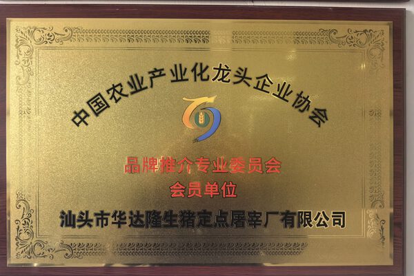 资质证书