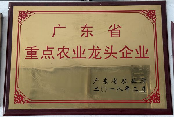 资质证书